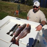 Redfish University redfish and speckled trout. 